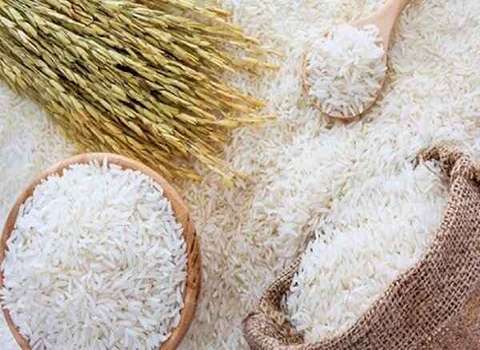 قیمت خرید برنج طارم خالص با فروش عمده